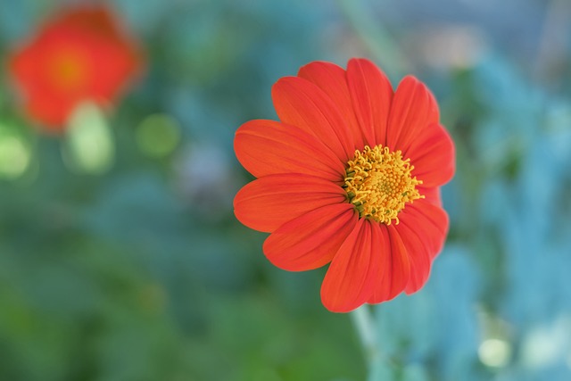 回顾范弗利 回顾范弗利