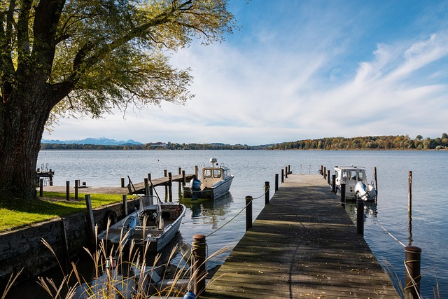 这一数字显 这一数字显