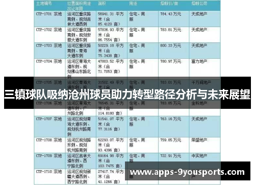三镇球队吸纳沧州球员助力转型路径分析与未来展望