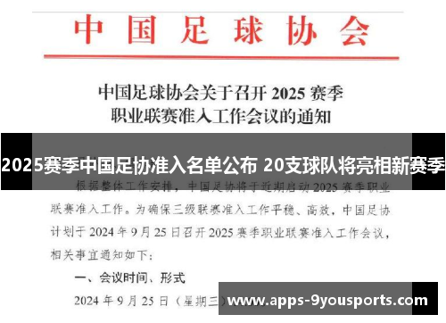 2025赛季中国足协准入名单公布 20支球队将亮相新赛季