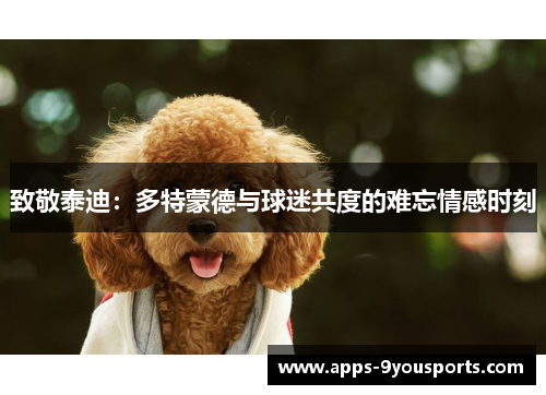 致敬泰迪：多特蒙德与球迷共度的难忘情感时刻